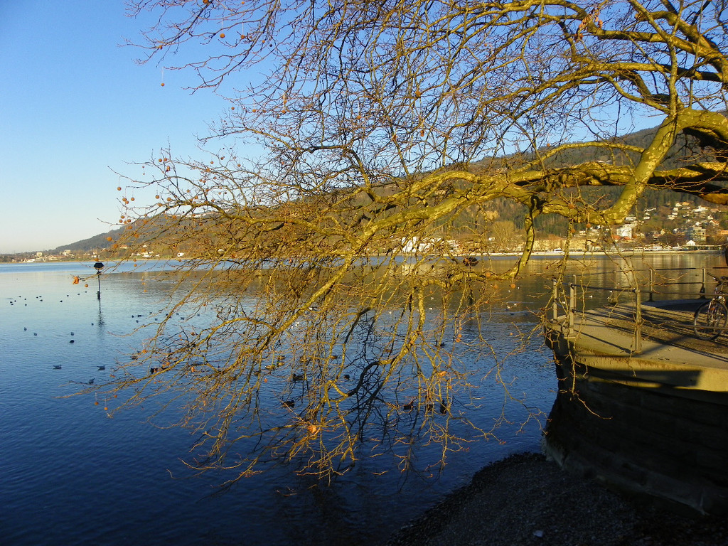 113_6343_JPG-1353782889