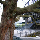 IMG_9406_JPG-1353782247