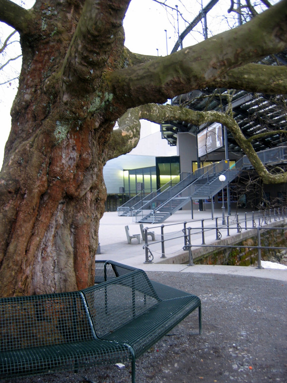 IMG_9406_JPG-1353782247