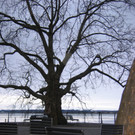 IMG_9443_JPG-1353782296