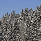 _DSC03700039_1.JPG