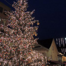 DSCN9600_JPG-1353783653