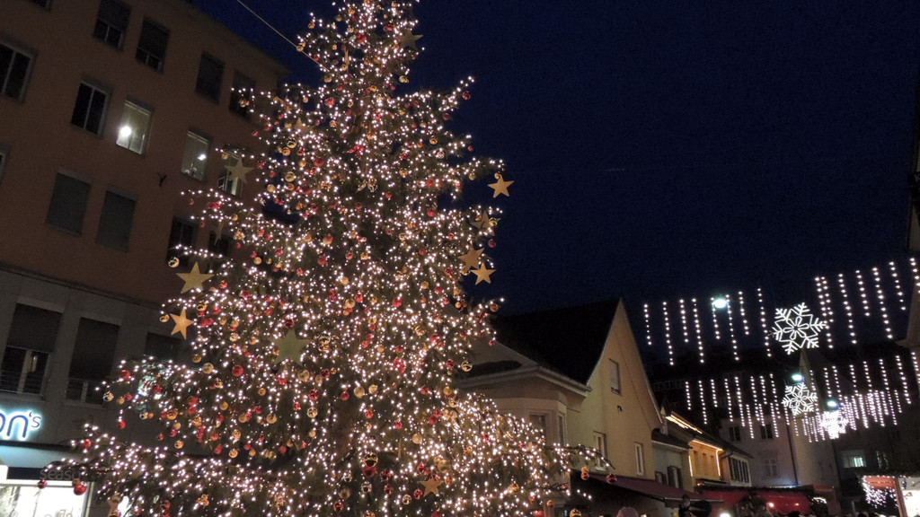 DSCN9600_JPG-1353783653