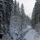 _DSC03730040_1.JPG