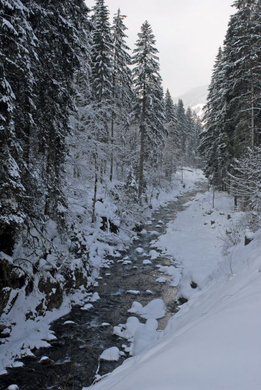 _DSC03730040_1.JPG