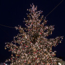 DSCN9604_JPG-1353783657