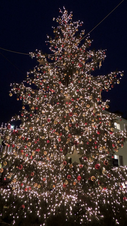 DSCN9604_JPG-1353783657