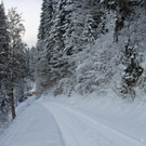 _DSC03740041_1.JPG