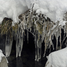 _DSC03830046.JPG