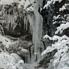 _DSC03890051_1.JPG
