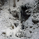 _DSC03950054_1.JPG