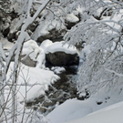 _DSC04190064_1.JPG