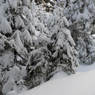 _DSC04290072_1.JPG