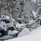_DSC04380078_1.JPG