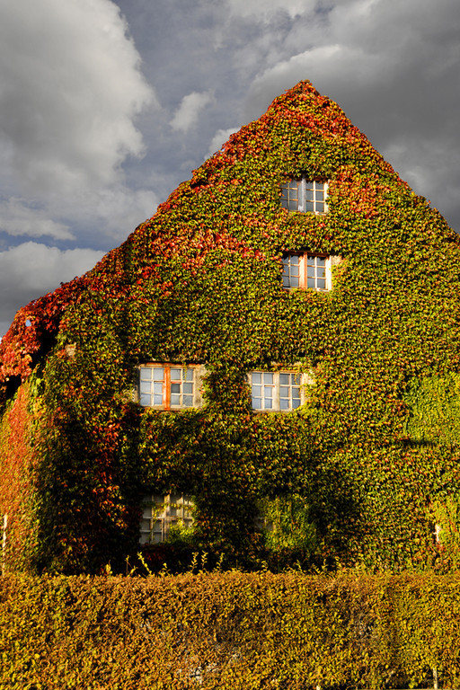 Markus Solterbeck-Herbst_jpg-1353792612