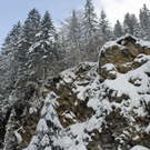 _DSC04450085_1.JPG