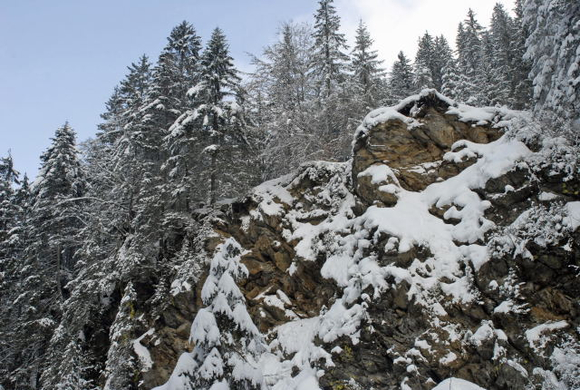 _DSC04450085_1.JPG