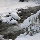 _DSC04500087.JPG