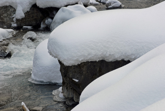 _DSC04570092.JPG