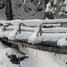 _DSC04610096.JPG