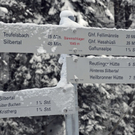 _DSC04650100.JPG