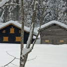 _DSC04760107_1.JPG