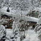 _DSC04810110_1.JPG