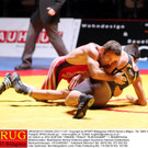 KRUG20121124394.jpg