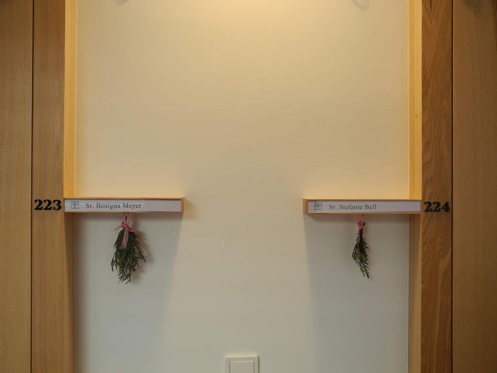 DSCN7999_JPG-1353832394