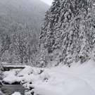 _DSC06430216_1.JPG