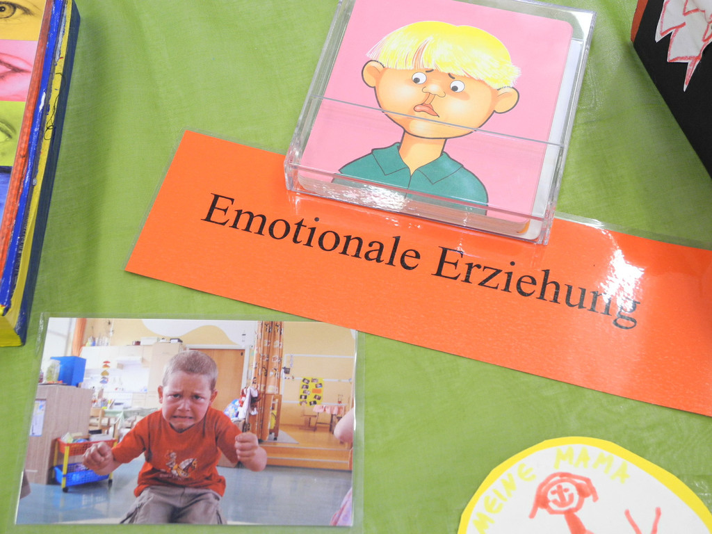 DSCN7953_JPG-1353838207