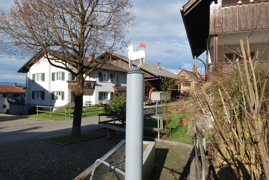 DSC_0042-1.jpg