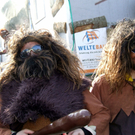 DSCF4588.JPG