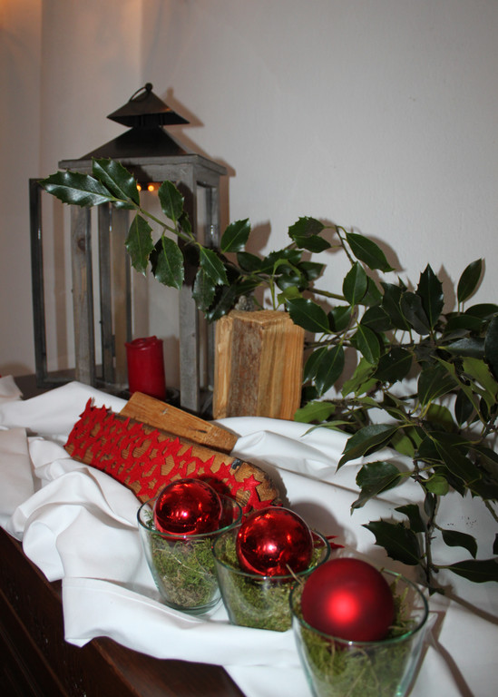 DD Schloss Hofener Advent Bauer Swete 2011 _2__jpg-1353878992