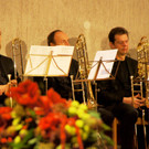 DSC09787_JPG-1353882292