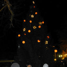 Licht3b_jpg-1353882555