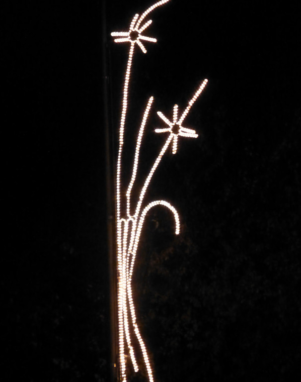 Licht13_jpg-1353882817