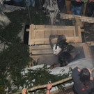241112tauruspassat04003aktivnews071.JPG