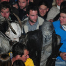 241112tauruspassat04003aktivnews022.JPG