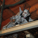241112tauruspassat04003aktivnews034.JPG