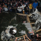 241112tauruspassat04003aktivnews032.JPG