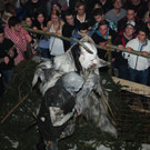 241112tauruspassat04003aktivnews025.JPG