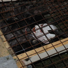 241112tauruspassat04003aktivnews030.JPG