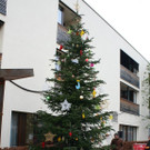 img_9348_jpg-1353911762