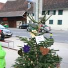 img_9384_jpg-1353911777