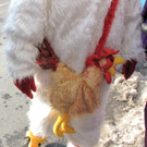 koe-Kinderfaschingsumzug-2010 5.jpg