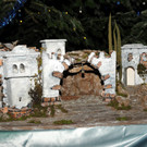 Pro Western 25-11-2012 53_jpg-1353924269