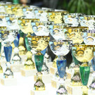 Cheerleader: Austrian International Open Siegerehrung