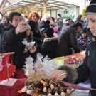 DSC_0007 - Kopie_JPG-1353926295