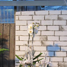 IMG_4189_jpg-1353930876